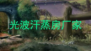 光波汗蒸房厂家