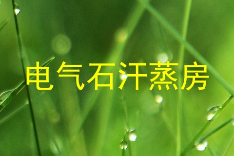 电气石汗蒸房