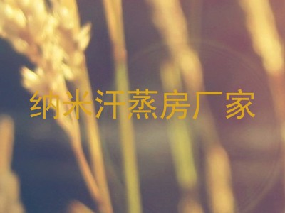 纳米汗蒸房厂家