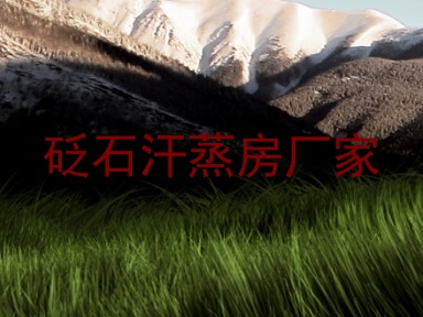 砭石汗蒸房厂家