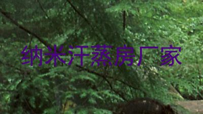 纳米汗蒸房厂家