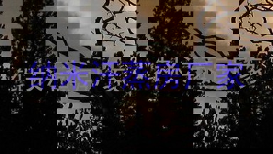 纳米汗蒸房厂家