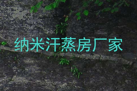 纳米汗蒸房厂家