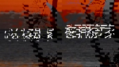 砭石汗蒸房厂家