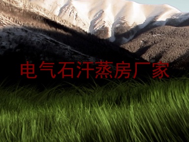 电气石汗蒸房厂家