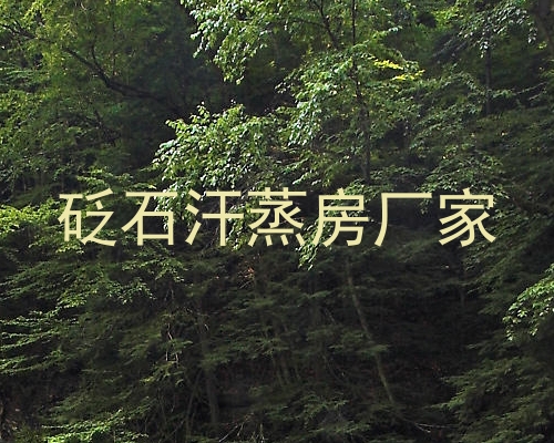 砭石汗蒸房厂家