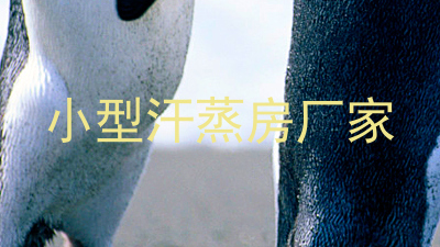 小型汗蒸房厂家