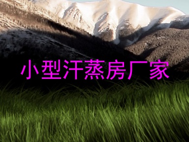 小型汗蒸房厂家