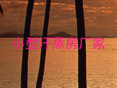 小型汗蒸房厂家