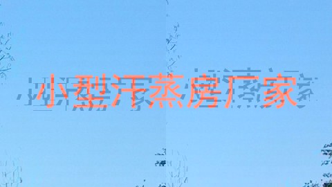 小型汗蒸房厂家