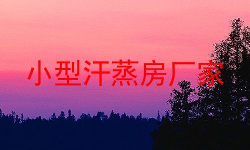 小型汗蒸房厂家