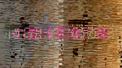 小型汗蒸房厂家