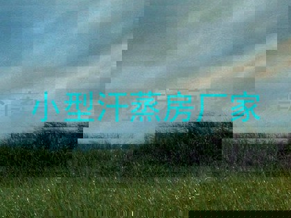 小型汗蒸房厂家