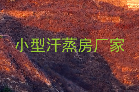 小型汗蒸房厂家