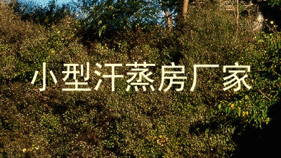 小型汗蒸房厂家