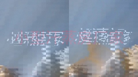 小型汗蒸房厂家