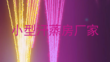 小型汗蒸房厂家