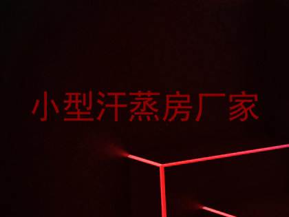 小型汗蒸房厂家