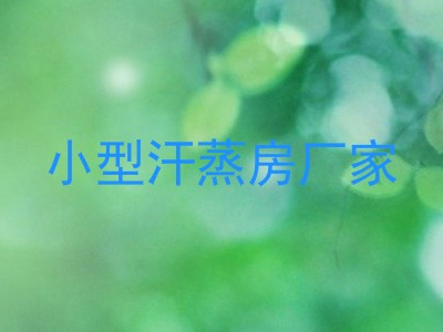 小型汗蒸房厂家