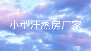 小型汗蒸房厂家