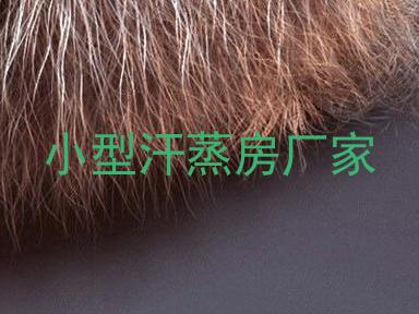 小型汗蒸房厂家