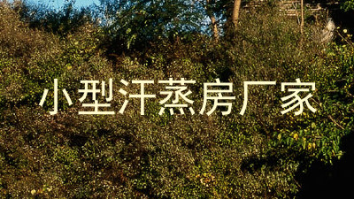 小型汗蒸房厂家