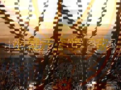 小型汗蒸房厂家