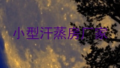 小型汗蒸房厂家