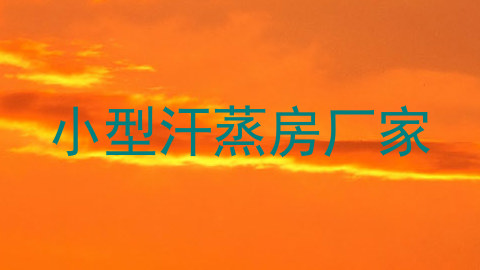 小型汗蒸房厂家