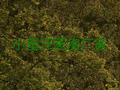 小型汗蒸房厂家