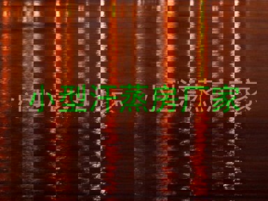 小型汗蒸房厂家