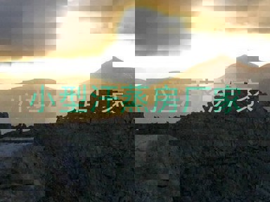 小型汗蒸房厂家