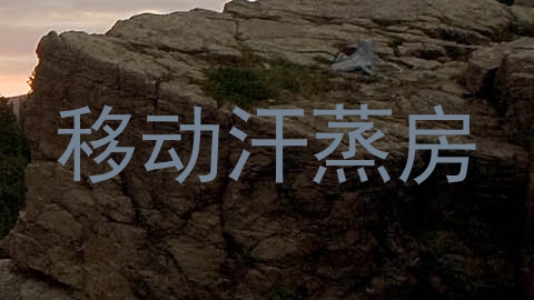 移动汗蒸房