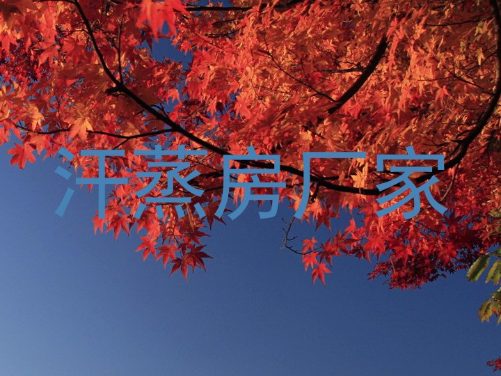 汗蒸房厂家