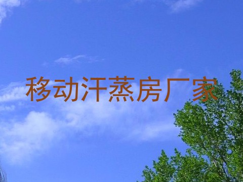 移动汗蒸房厂家