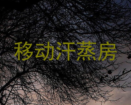 移动汗蒸房