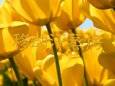 移动汗蒸房