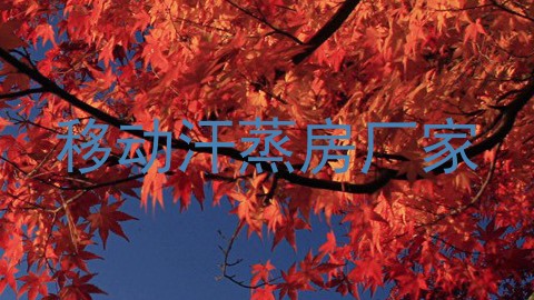 移动汗蒸房厂家