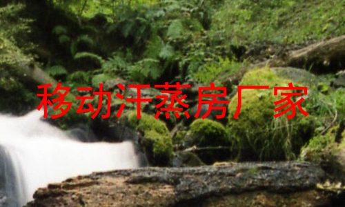 移动汗蒸房厂家