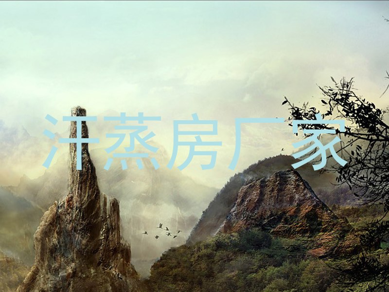 汗蒸房厂家