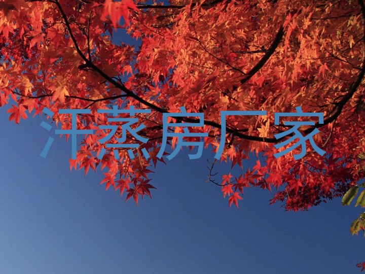 汗蒸房厂家