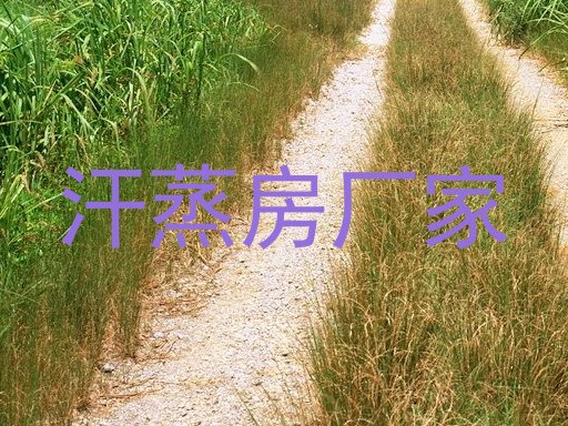 汗蒸房厂家