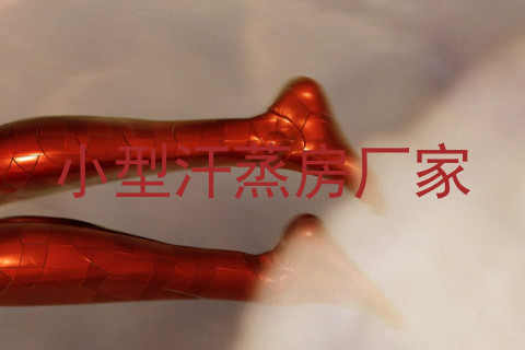 小型汗蒸房厂家