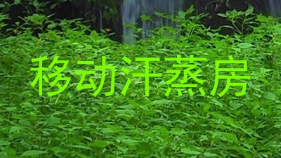 移动汗蒸房