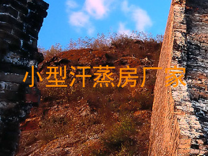 小型汗蒸房厂家