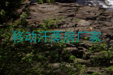移动汗蒸房厂家