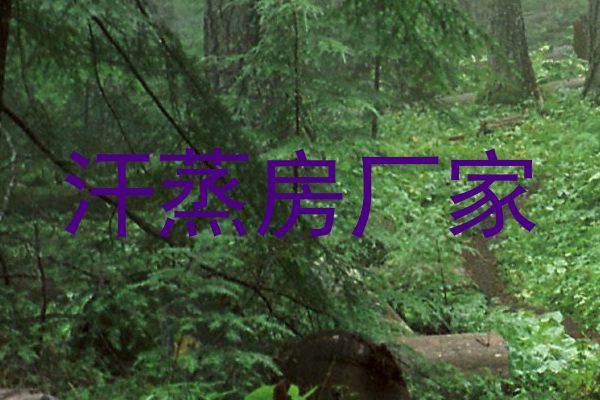 汗蒸房厂家