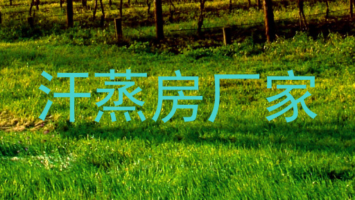 汗蒸房厂家