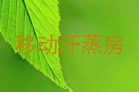 移动汗蒸房