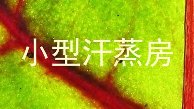 小型汗蒸房